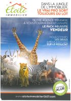 LA JUNGLE DE L'IMMOBILIER !