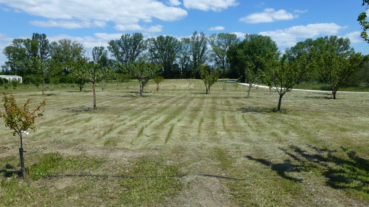 Vente terrain SOYONS - photo